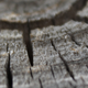 Image for article titled Shooting Challenge: Shattered Gallery 1